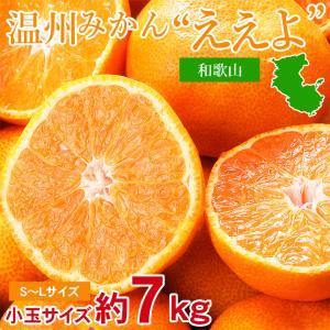 送料無料 長崎県 はるか 日向夏 サイズバラバラ サイズ混合 約 2kg