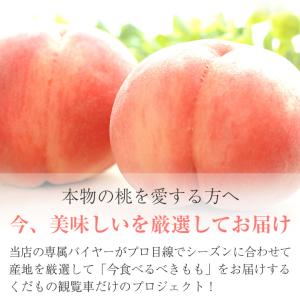 送料無料 「潤い」桃ギフト 桃 3玉 秀品 3...の詳細画像2