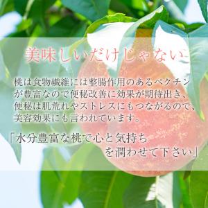 送料無料 「潤い」桃ギフト 桃 3玉 秀品 3...の詳細画像4