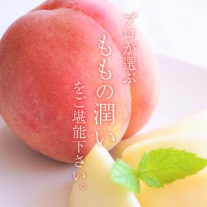 送料無料 「潤い」桃ギフト 桃 3玉 秀品 3...の詳細画像5