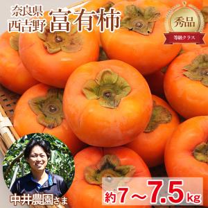 送料無料 奈良県 富有柿 秀品 約 7kg 〜 7.5kg 秋 柿 甘柿 産地直送 奈良県産 奈良 西吉野 カキ かき 果物 くだもの フルーツ 敬老の日 ギフト｜fruit27