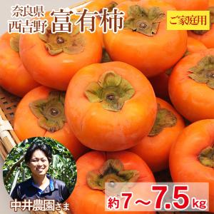 送料無料 奈良県 富有柿 ご家庭用 約 7kg 〜 7.5kg 秋 柿 甘柿 産地直送 奈良県産 奈良 西吉野 カキ かき 果物 くだもの フルーツ 敬老の日 ギフト
