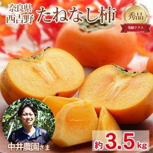 送料無料 花山椒 約100g 産地直送 奈良県産 奈良県 奈良 サンショウ