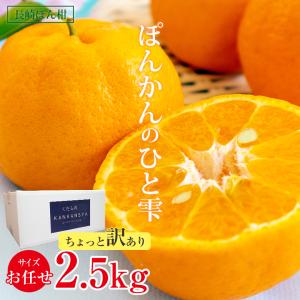 ★400円OFFクーポンで990円★  訳あり ぽんかん ポンカン 2.5kg 椪柑 長崎県 みかん 国産 国産みかん ご家庭用