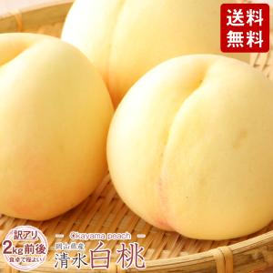 送料無料 訳あり 岡山県産 清水白桃 2kg 前後 6〜10玉 ご家庭用 岡山県 岡山 桃 白桃 もも モモ 訳アリ ご自宅用 加工用 果物 くだもの フルーツ