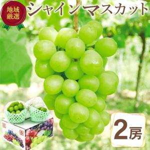 送料無料 地域厳選 シャインマスカット 2房 約650g 秀品 山梨県 岡山県 長野県 香川県 ご家庭用 マスカット ぶどう ギフト お中元 暑中見舞い 敬老の日