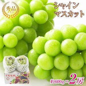 8月下旬から9月中旬期間内にご発送予定 送料無料 地域厳選 超 特大