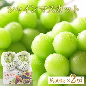 送料無料 花山椒 約100g 産地直送 奈良県産 奈良県 奈良 サンショウ