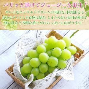 8月下旬より順次ご発送 優品 約 2kg 2〜...の詳細画像4