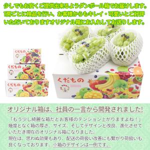 送料無料 鳥取県産 新甘泉 しんかんせん 秋甘...の詳細画像5