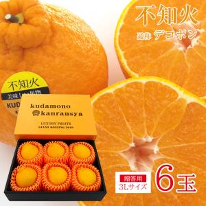 送料無料 長崎県 はるか 日向夏 サイズバラバラ サイズ混合 約 2kg