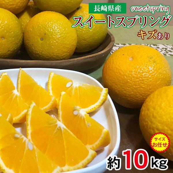 送料無料 訳あり ちょっと訳あり 家庭用 スイートスプリング 産地直送 長崎県  みかん はっさく ...