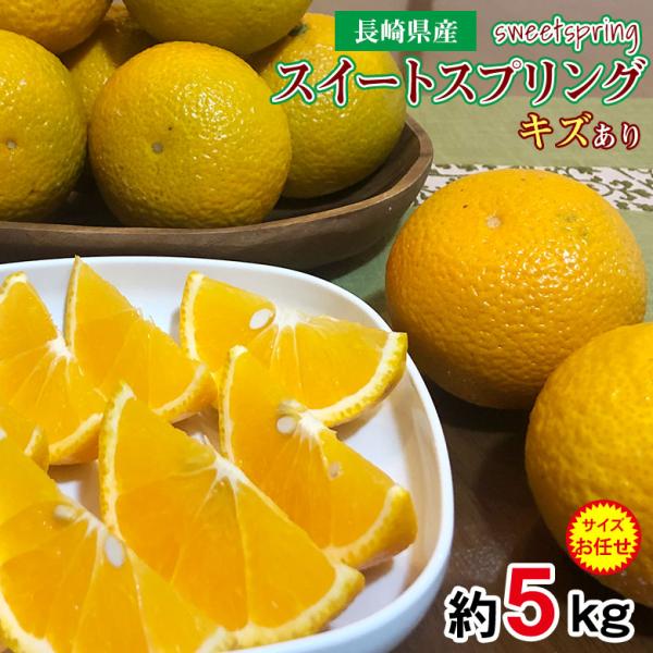 送料無料 訳あり ちょっと訳あり 家庭用 スイートスプリング 産地直送 長崎県  みかん はっさく ...