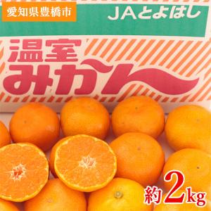 送料無料 長崎県 はるか 日向夏 サイズバラバラ サイズ混合 約 2kg