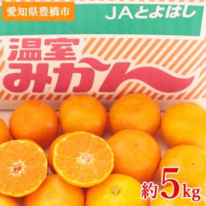 送料無料 長崎県 はるか 日向夏 サイズバラバラ サイズ混合 約 5kg