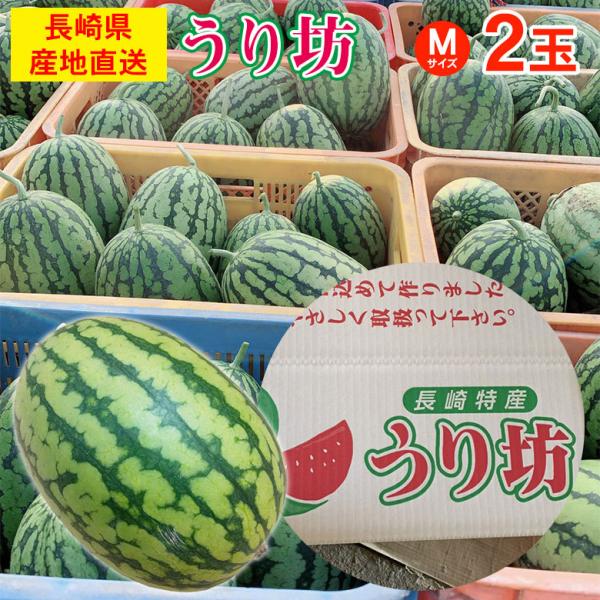 送料無料 長崎 長崎県産 すいか スイカ 西瓜 小玉 小玉スイカ うり坊 Mサイズ 2玉 訳あり す...