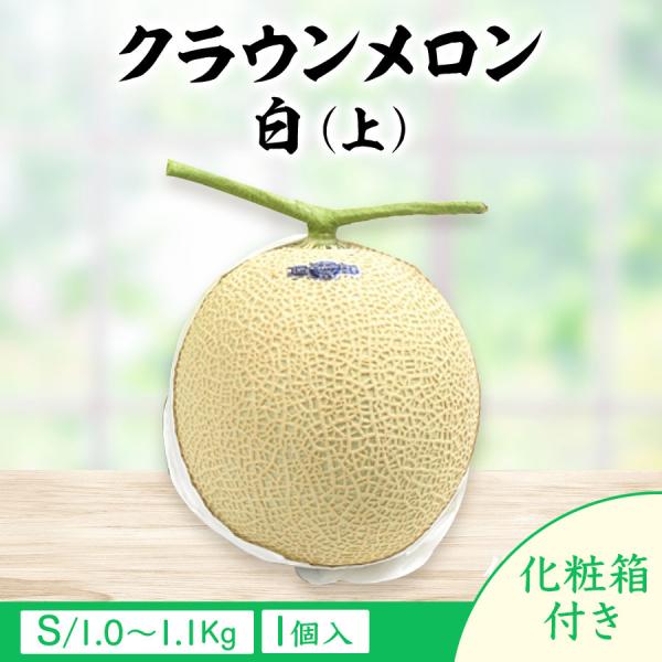 メロン フルーツ 果物 クラウンメロン　白（上）S/1.0〜1.1Kg/化粧箱/1個入