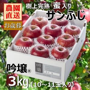 通販限定【送料無料】福島 樹上完熟蜜入り サンふじりんご Ｌサイズ 3kg箱（10〜11玉入り） 贈答品 ふくしまプライド。体感キャンペーン（果物/野菜）