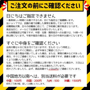 【送料無料】数量限定 福島 サンふじりんご ご...の詳細画像2
