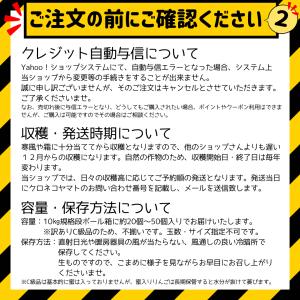 【送料無料】数量限定 福島 サンふじりんご ご...の詳細画像3
