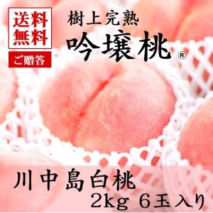 【送料無料】 福島産 川中島白桃 2キロ箱 6玉入り 贈答品 ふくしまプライド。体感キャンペーン（果物/野菜）