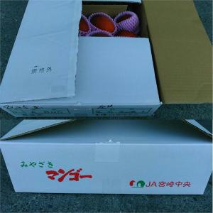宮崎マンゴー 訳あり 約4キロ(規格外)加工用...の詳細画像5