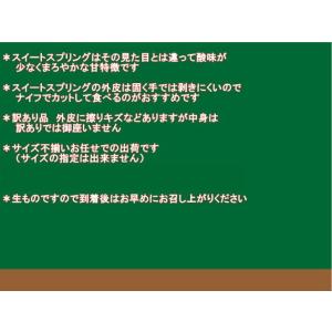 スイートスプリング 訳あり 約10キロ(9kg...の詳細画像5