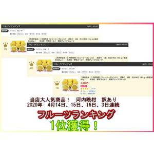 河内晩柑 訳あり 約10キロ(9kg+保証分5...の詳細画像5