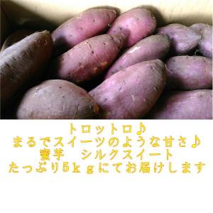 シルクスイート 秀品 蔵出し 約5kg サイズ...の詳細画像1