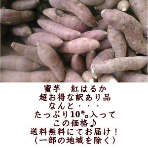 紅はるか 蔵出し 訳あり 箱込10キロ(9kg...の詳細画像1