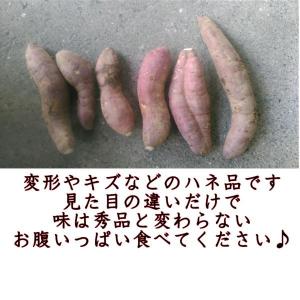 紅はるか 蔵出し 訳あり 箱込10キロ(9kg...の詳細画像2