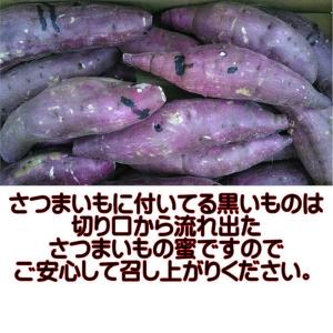 紅はるか 蔵出し 訳あり 箱込10キロ(9kg...の詳細画像4