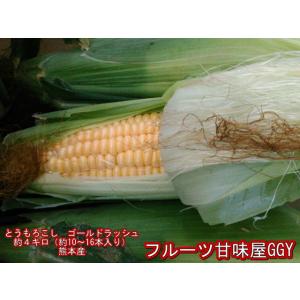 とうもろこし　ゴールドラッシュ熊本産一部の地域を除　トウモロコシ　80サイズ