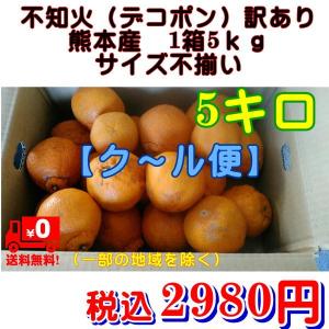 お試し規格 不知火(デコポン) 熊本産 訳あり 1箱5kg ...