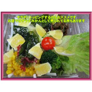 はるか みかん 訳あり 5キロ(+300g保証...の詳細画像2