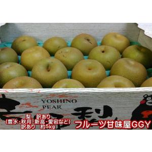 梨　訳あり（豊水・秋月・新高・愛宕など）約5ｋｇ（約5〜24玉）熊本産　梨　ナシ　なし｜fruitkanmiya-ggy