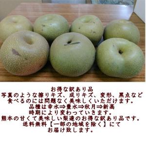 梨 訳あり(豊水・秋月・新高・愛宕など)約5k...の詳細画像1