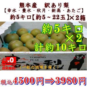 梨 訳あり 熊本産(幸水・豊水・秋月・新高)約5キロ(約5〜...