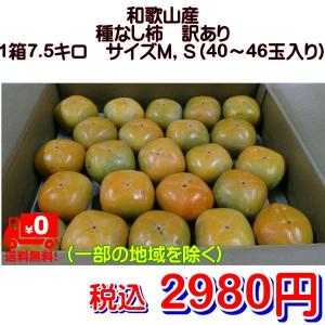 種なし柿　訳あり　和歌山産　1箱7.5kg　サイズＭ，Ｓ（40〜46玉入り）｜fruitkanmiya-ggy