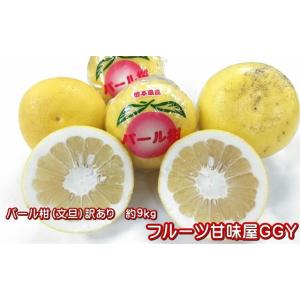 パール柑　訳あり　箱込９キロ（８kg＋保証分５００g）文旦　土佐文旦の仲間　大橘　ブンタン　熊本産 ...