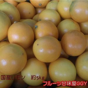 国産レモン　秀品　サイズ３Ｌ〜Ｓ　熊本産　１箱　箱込約５ｋｇ　80サイズ みかん ミカン 蜜柑