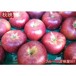 秋映　約10kg【約20〜50玉】長野・青森産　りんご　リンゴ　林檎　グルメ　120サイズ｜fruitkanmiya-ggy