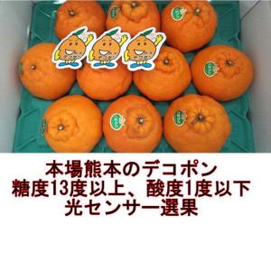 デコポン 約2.5kg 熊本産 約7〜12玉 ...の詳細画像2
