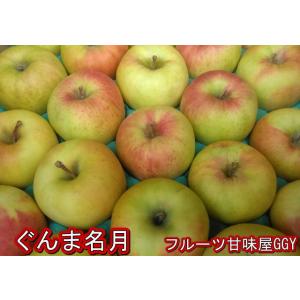 ぐんま名月　約10kg【約20〜56玉】長野・山形・群馬・青森産　群馬名月　グンマ名月　りんご　リンゴ　林檎　グルメ　120サイズ｜fruitkanmiya-ggy