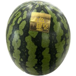 金色羅皇 訳あり 1玉入り（7kg以上の大玉）熊本産 スイカ すいか