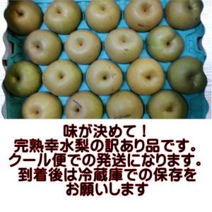 完熟 幸水梨 訳あり 熊本産 1箱 約5kg(...の詳細画像1