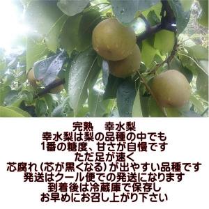 完熟 幸水梨 訳あり 熊本産 1箱 約5kg(...の詳細画像2