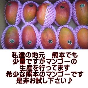 熊本マンゴー 訳あり 約5kg【規格外】加工用...の詳細画像1
