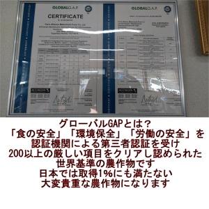 松本農園さんの特別栽培にんじん 訳あり 1箱約...の詳細画像1