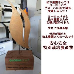 松本農園さんの特別栽培にんじん 訳あり 1箱約...の詳細画像2